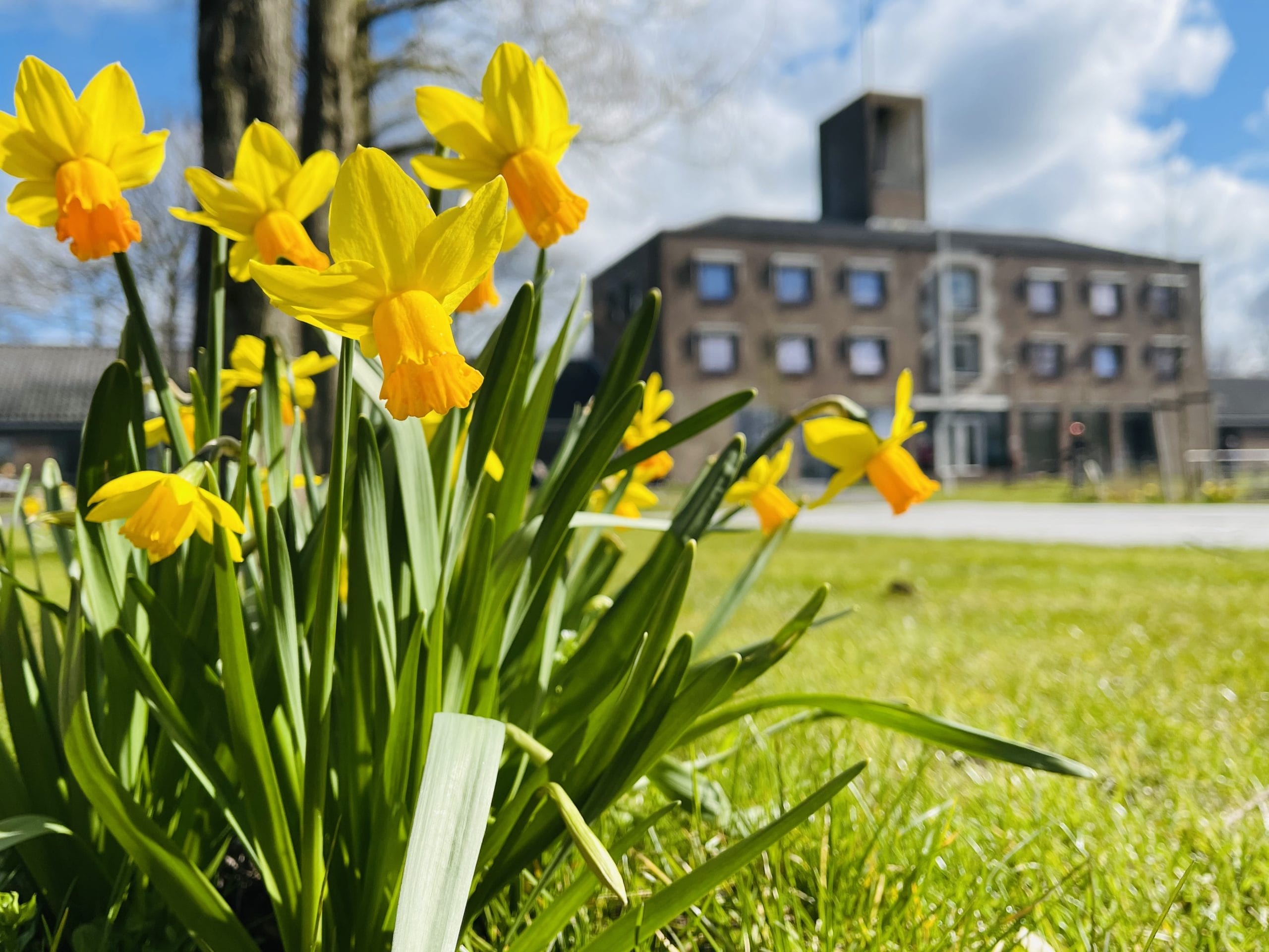 Lente